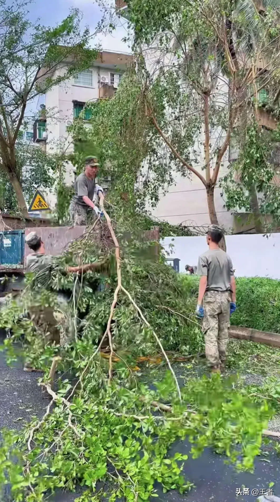 城管台风防御工作总结_城管防台风_