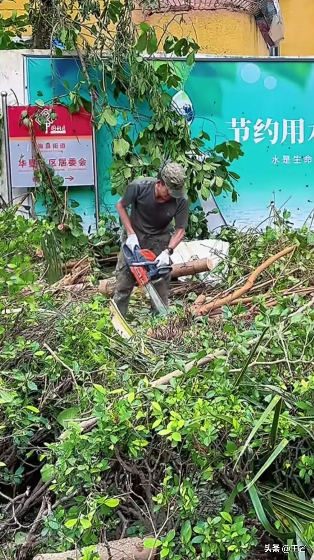 城管台风防御工作总结_城管防台风_